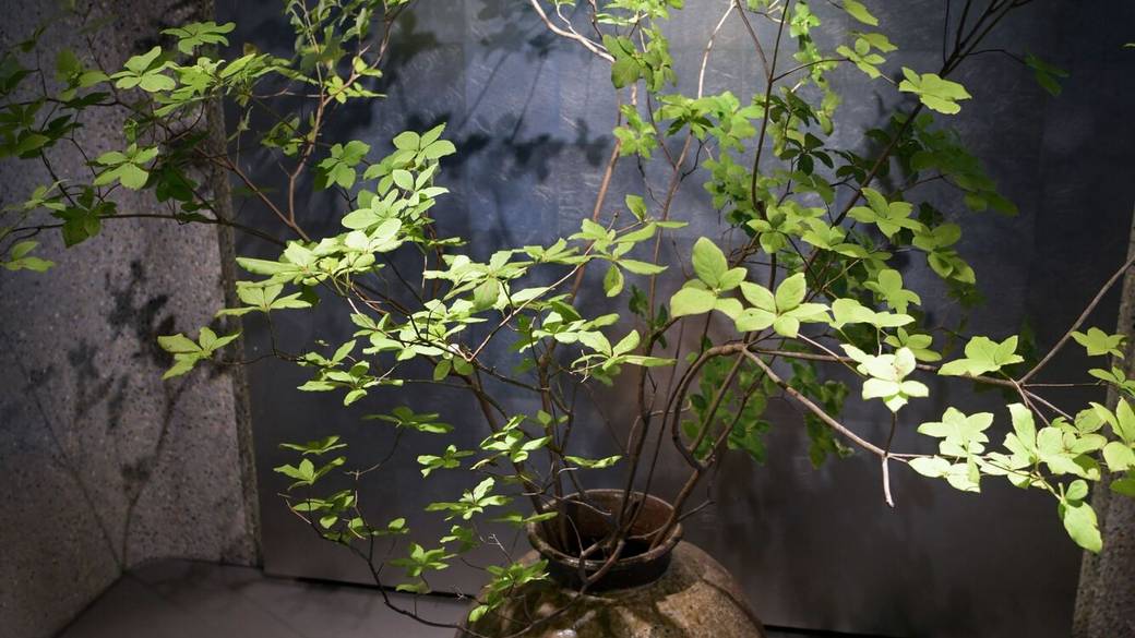 モニュメント / 2