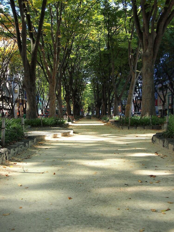 施設の敷地