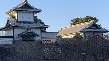 ランド ビュー / 11