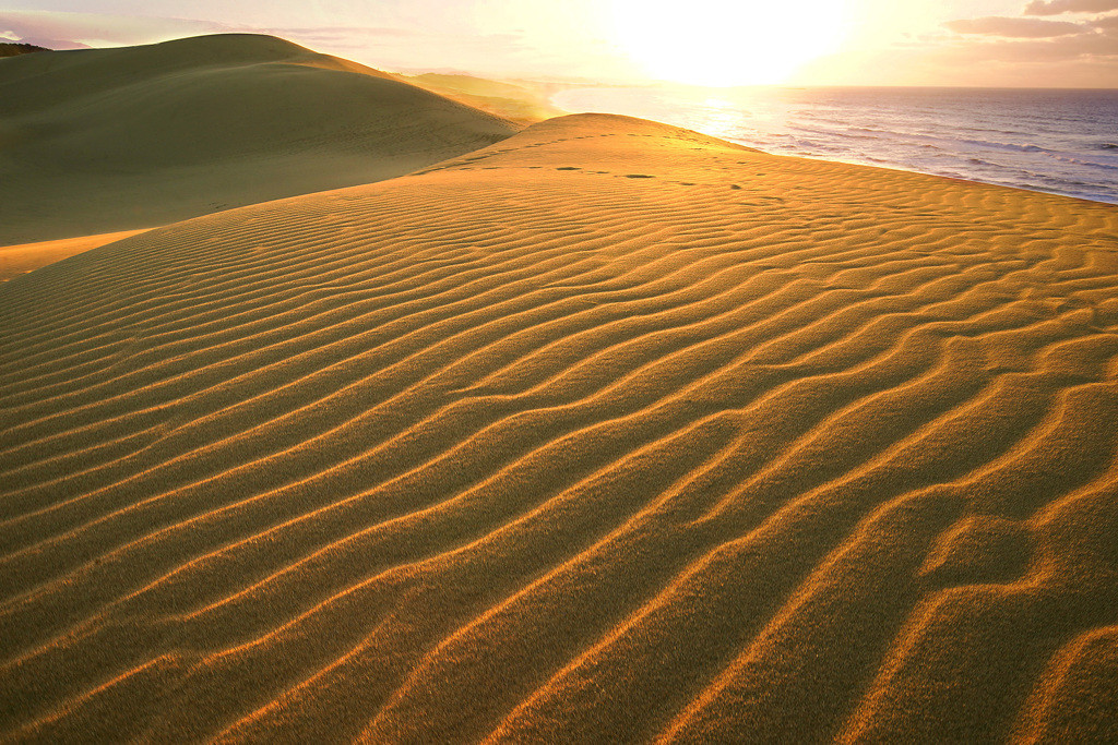 鳥取駅まぢか・おしゃれカフェ併設のゲストハウス3960511