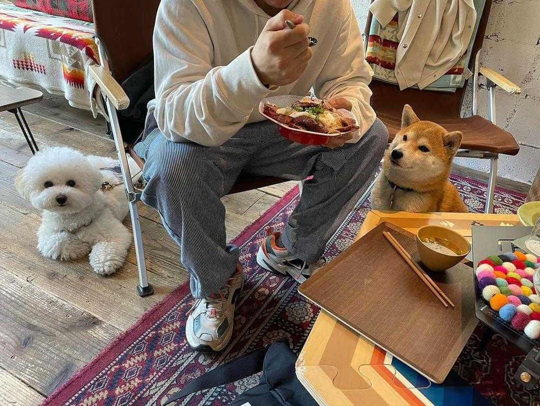 bichon_monetさんの写真 / 3