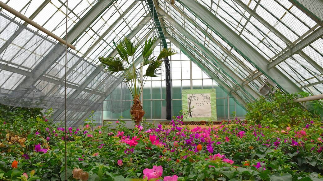 函館市熱帯植物園 / 4