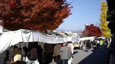 観光スポット / 17