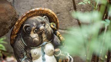 ガーデン ビュー / 10