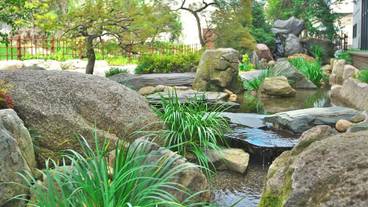 川の庭 / 8