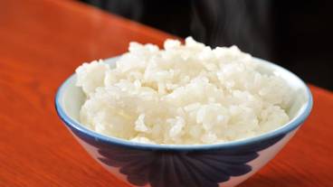 レストラン / 17