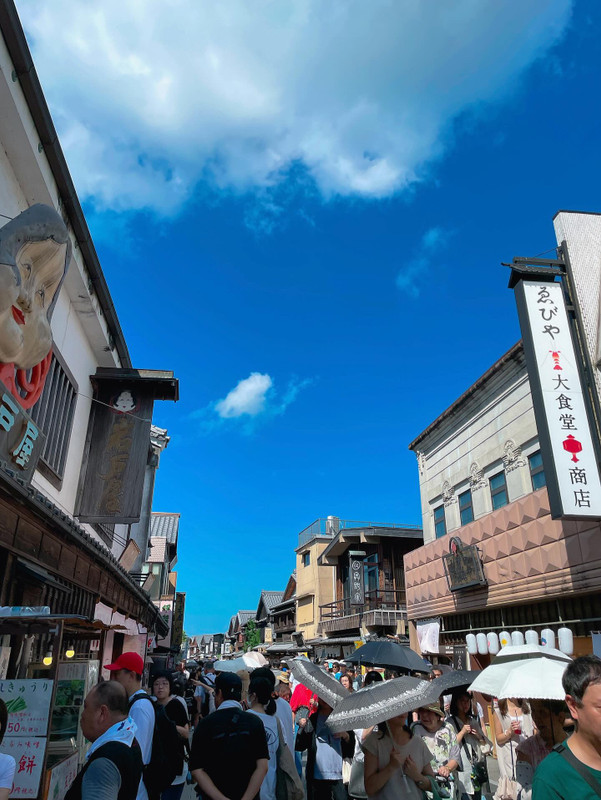 ray.natsさんの写真 / 2