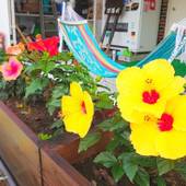 ペンション 花海月（東京都 ペンション） / 3