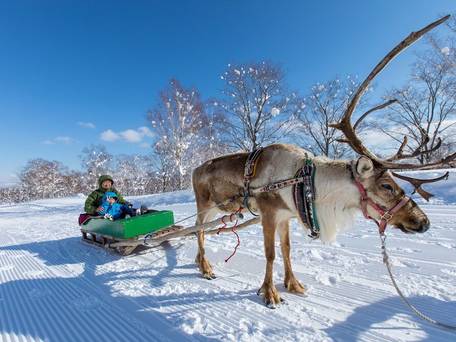 ヒノデヒルズ ニセコビレッジ / 2