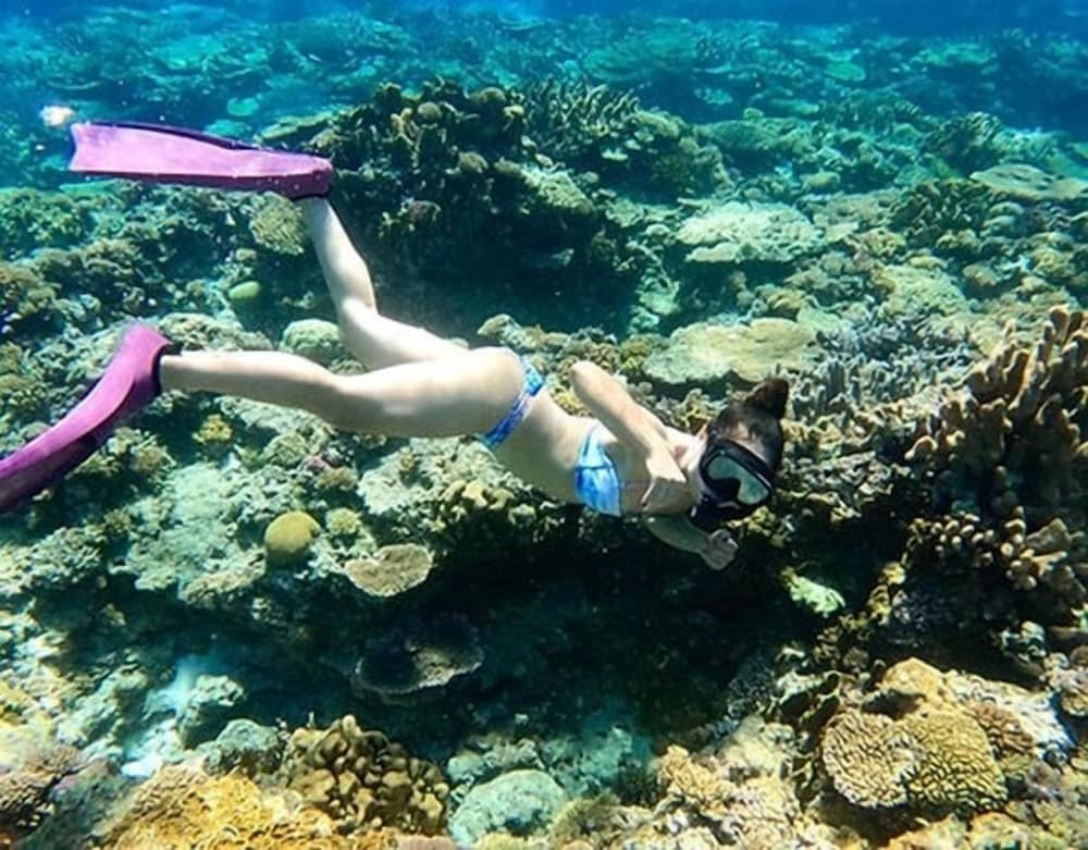 サーフィン / ボディボード