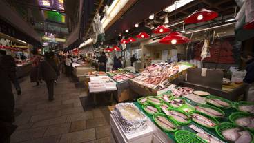 観光スポット / 7