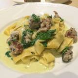 トラットリア キッコ(トラットリアキッコ)