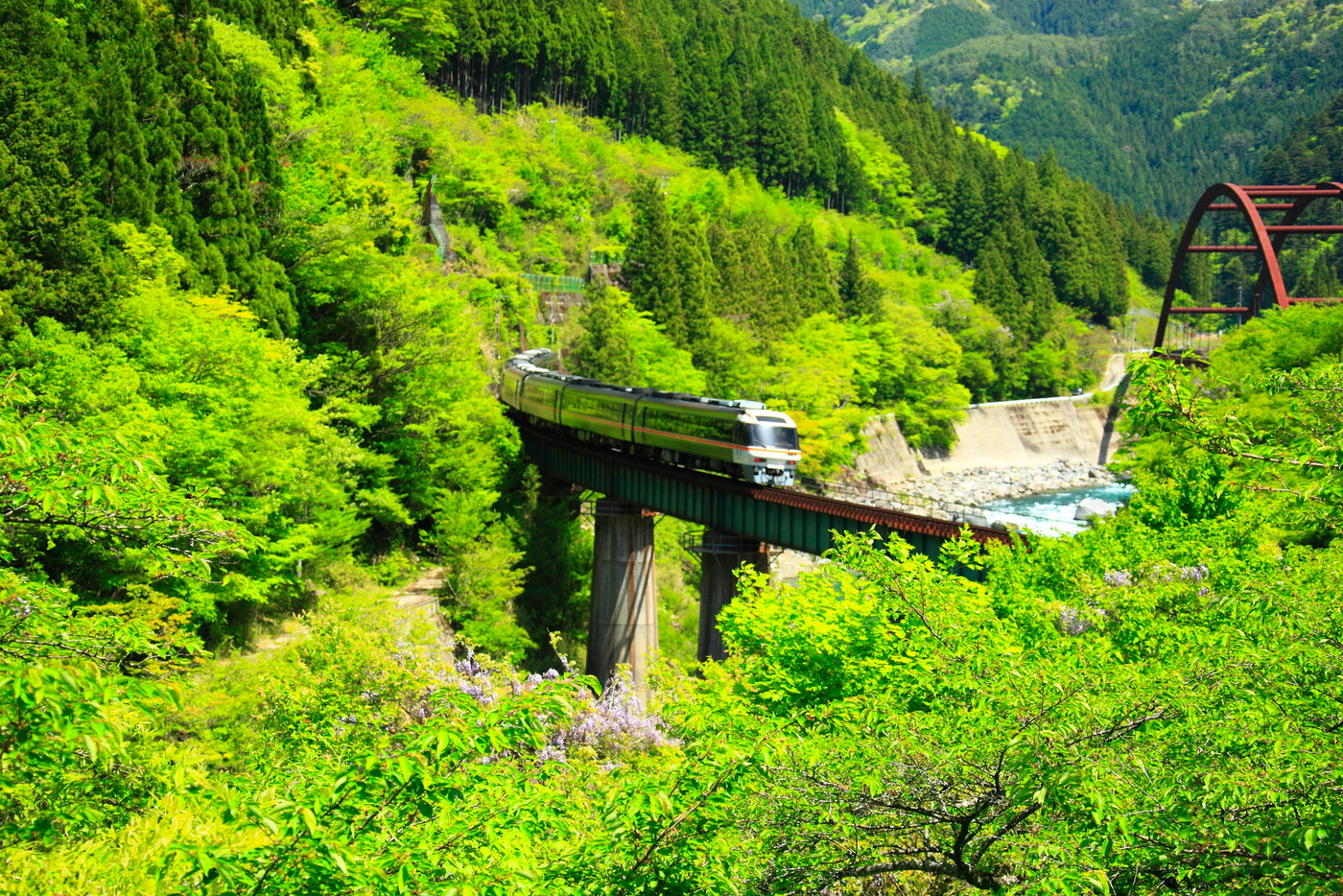 新緑の高山本線