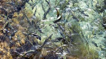 施設の敷地 / 18