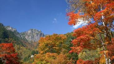 施設の敷地 / 18