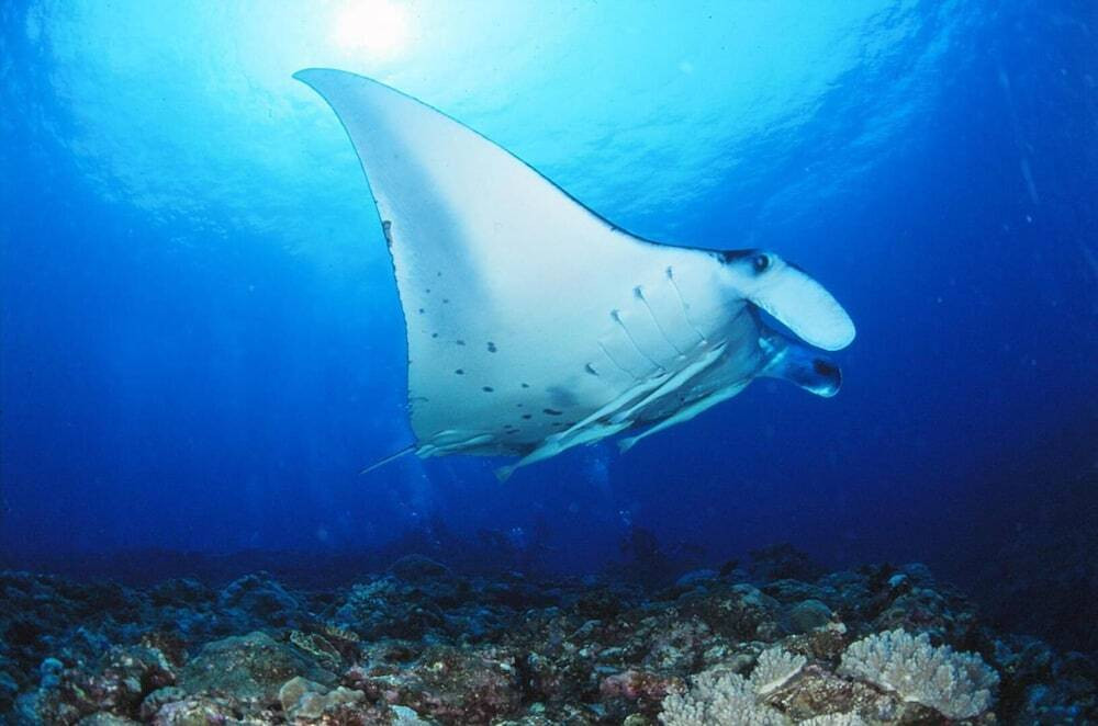 フィットネス設備