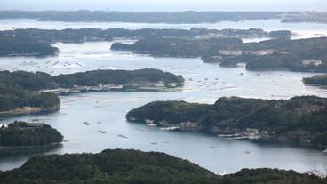 観光スポット / 8