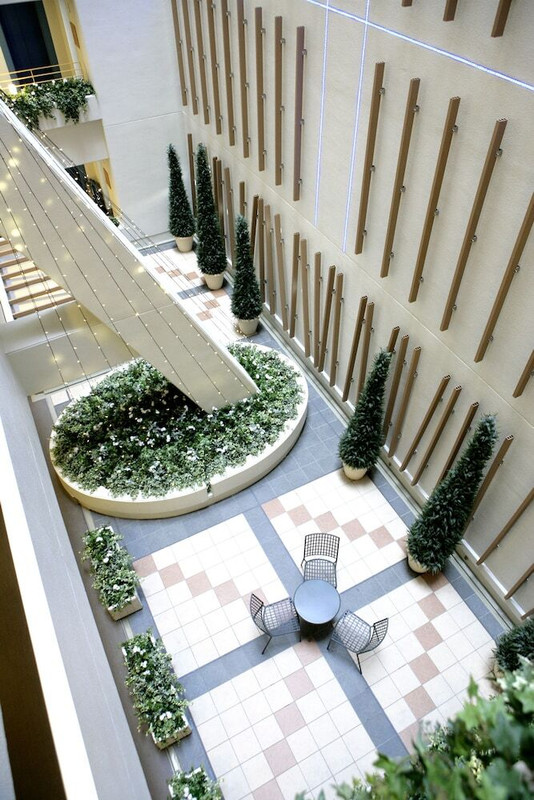 テラス / パティオ