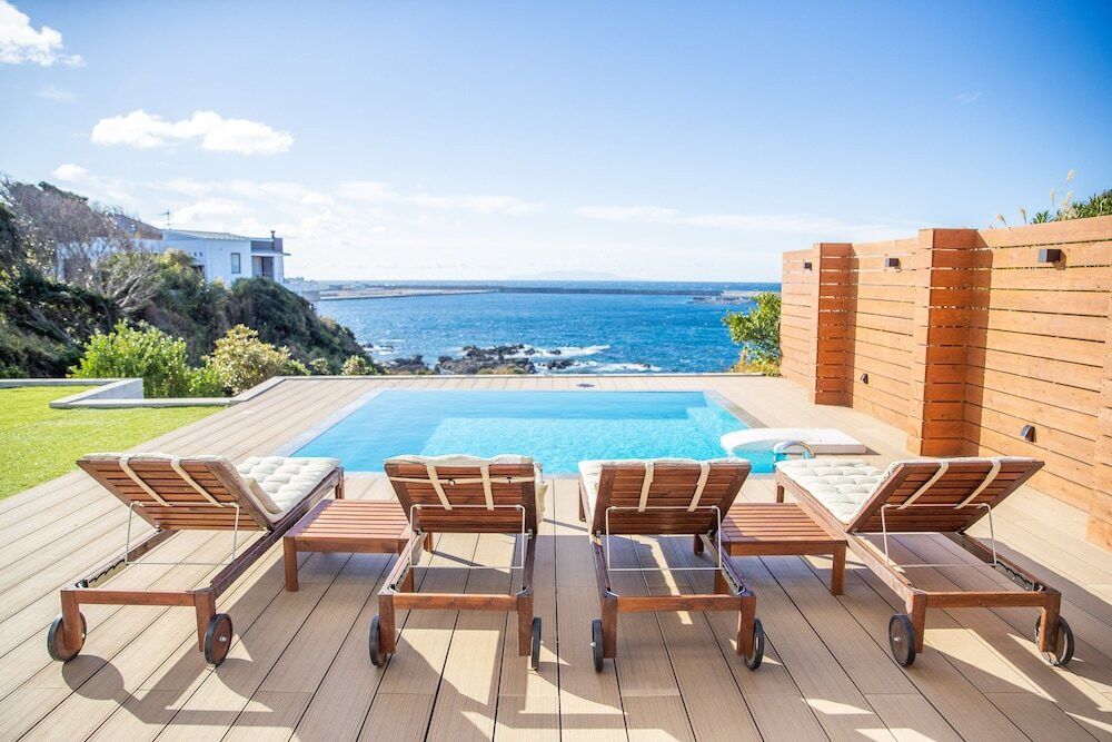 10．MOROISOSO モロイソソウ（神奈川三崎）3498608