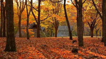 施設からの眺望 / 21