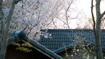 施設からの眺望 / 28