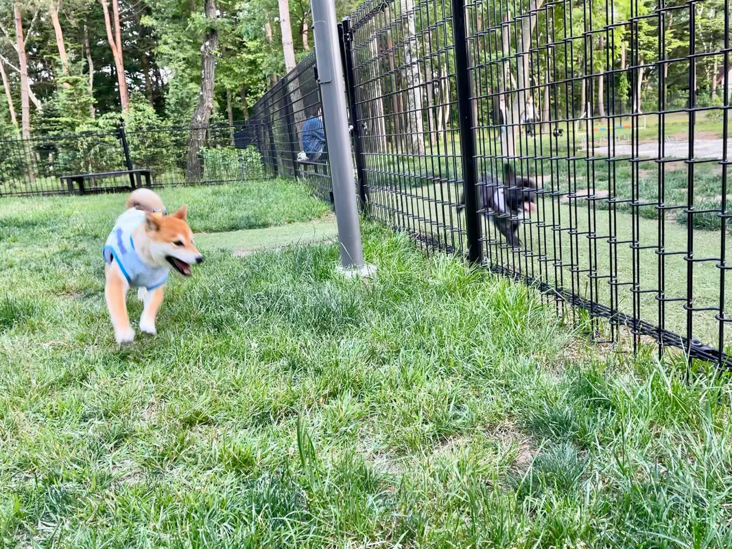 pinky.yuki_go.kam2さんの写真 / 1