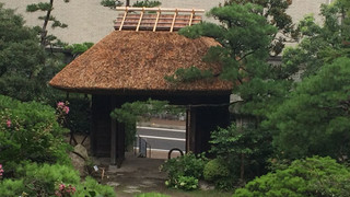 和室 庭園側 禁煙 [10畳~]