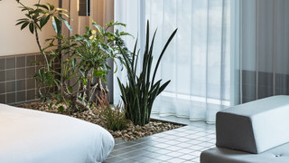 パーティースイート最上階 禁煙 [最大定員6名：大人4名と子供2名（5歳以下）まで]