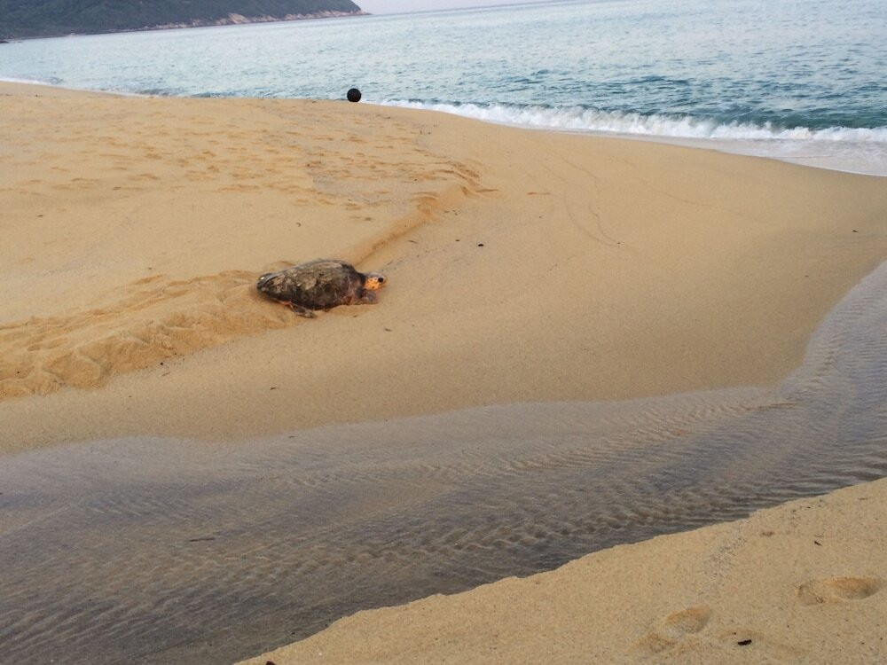 施設からの眺望