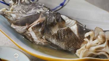 食事・飲み物 / 13