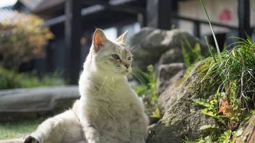 施設の敷地 / 19