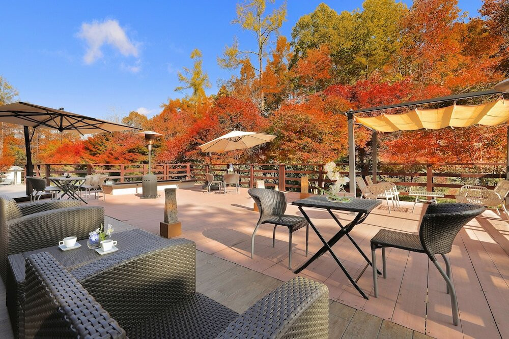 テラス / パティオ