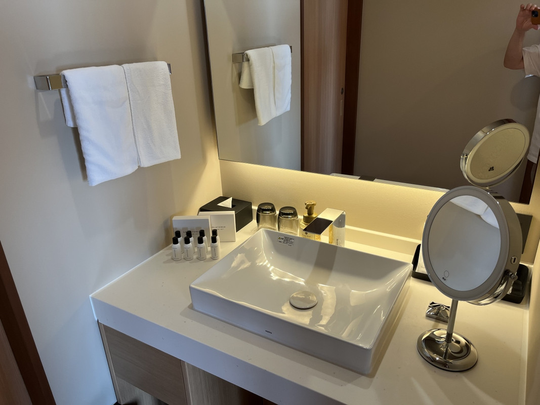 浅いシンクの洗面台