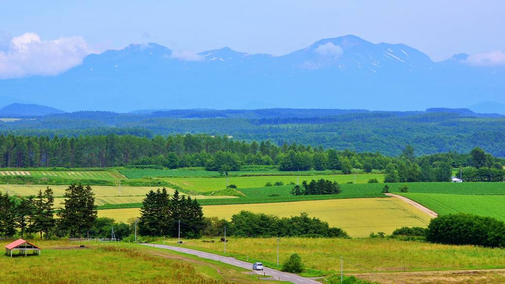 富良野の風景 / 1