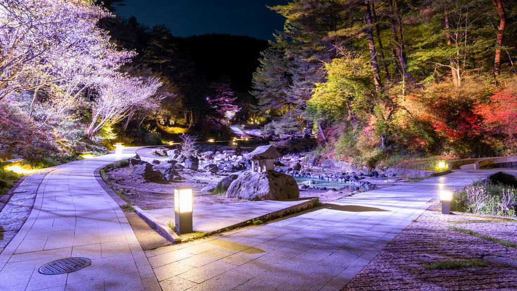 西の河原公園 ライトアップ / 2