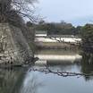 ホテルの目の前は彦根城