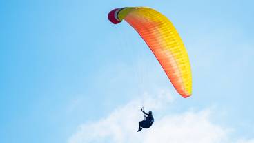 有料オプション／パラグライダー体験(イメージ) / 3