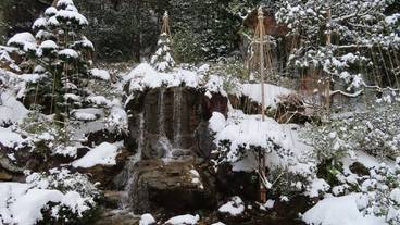 敷地内の自然④ / 23