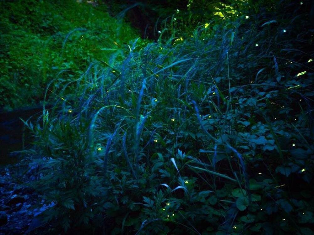 施設からの眺望