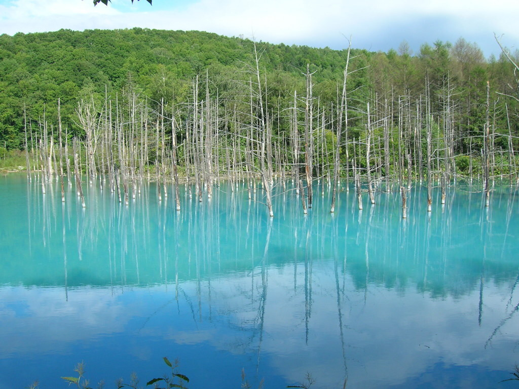幻想的な景観に魅了される「青い池」63949