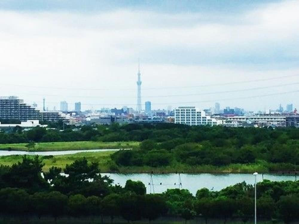 施設からの眺望