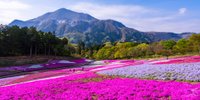 週末は秩父でデート♪カップルで巡りたい観光スポットとおすすめ宿8選