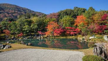 観光スポット / 11