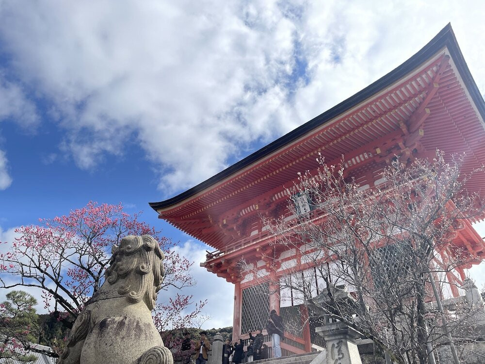 ランド ビュー