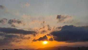 ビーチ / オーシャン ビュー / 10