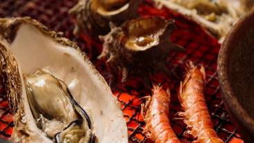 食事・飲み物 / 17