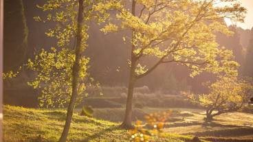 施設からの眺望 / 19