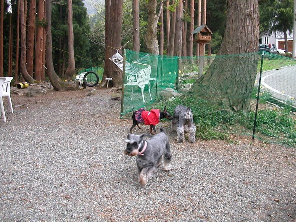 施設からの眺望