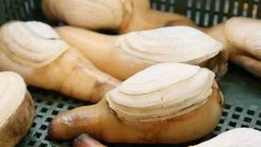 食事・飲み物 / 3