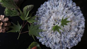 あまやどりの宿 雨情草庵（アマヤドリノヤド ウジョウソウアン） / 5